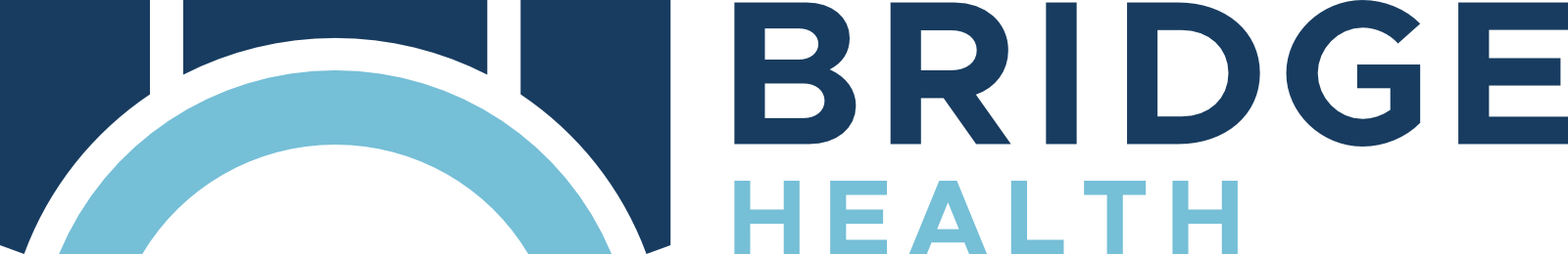 Bridge-Logo-Horizontal-2-Color-Dark